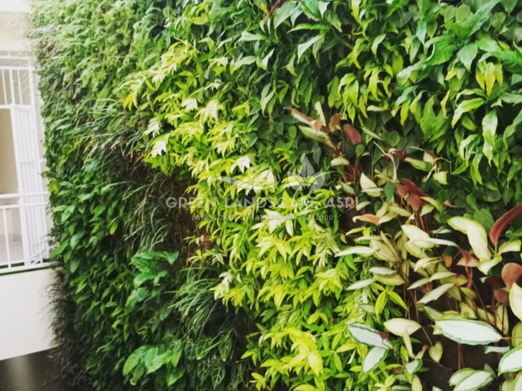 Harga Pasang Taman Vertikal