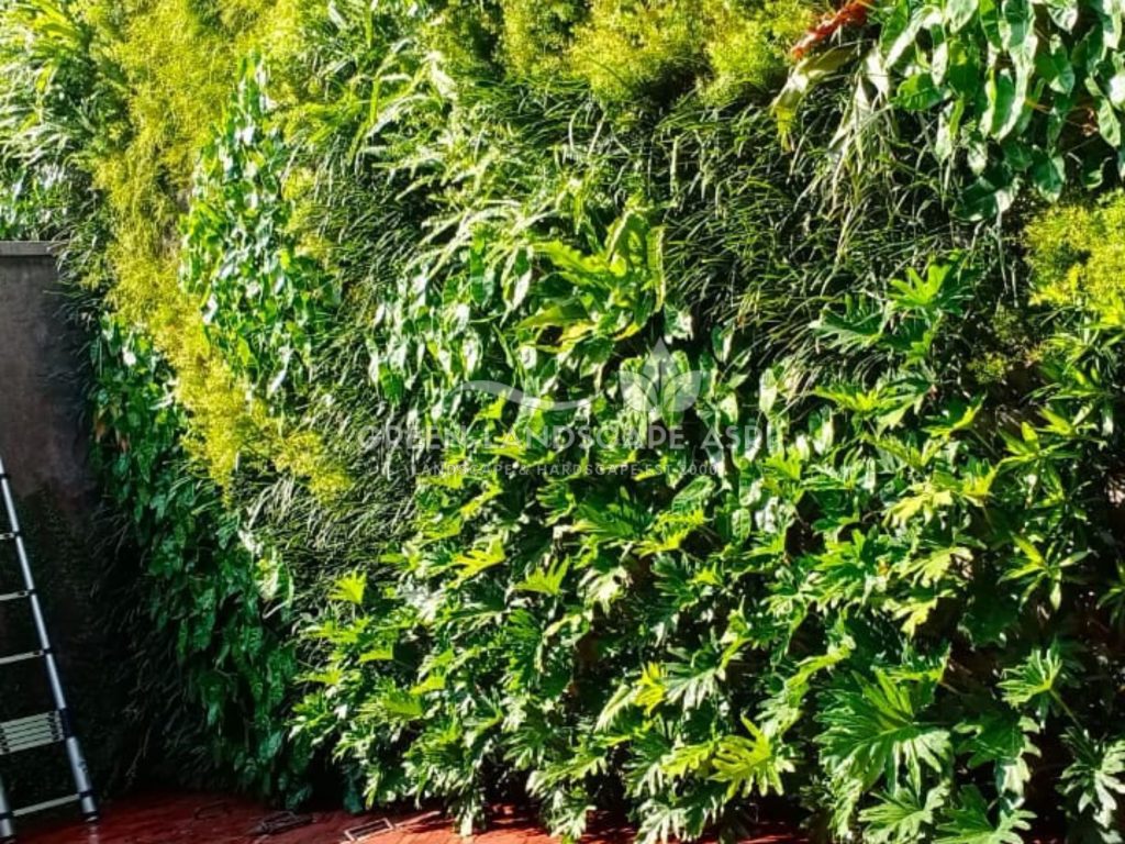 Harga Pasang Taman Vertikal