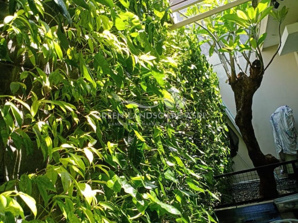 Harga Pasang Taman Vertikal