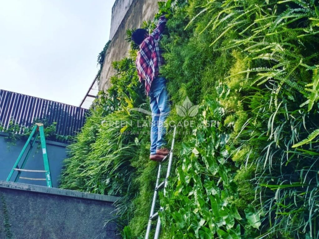 Harga Pasang Taman Vertikal