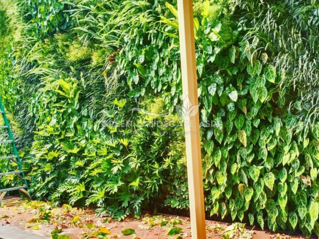 Harga Pasang Taman Vertikal