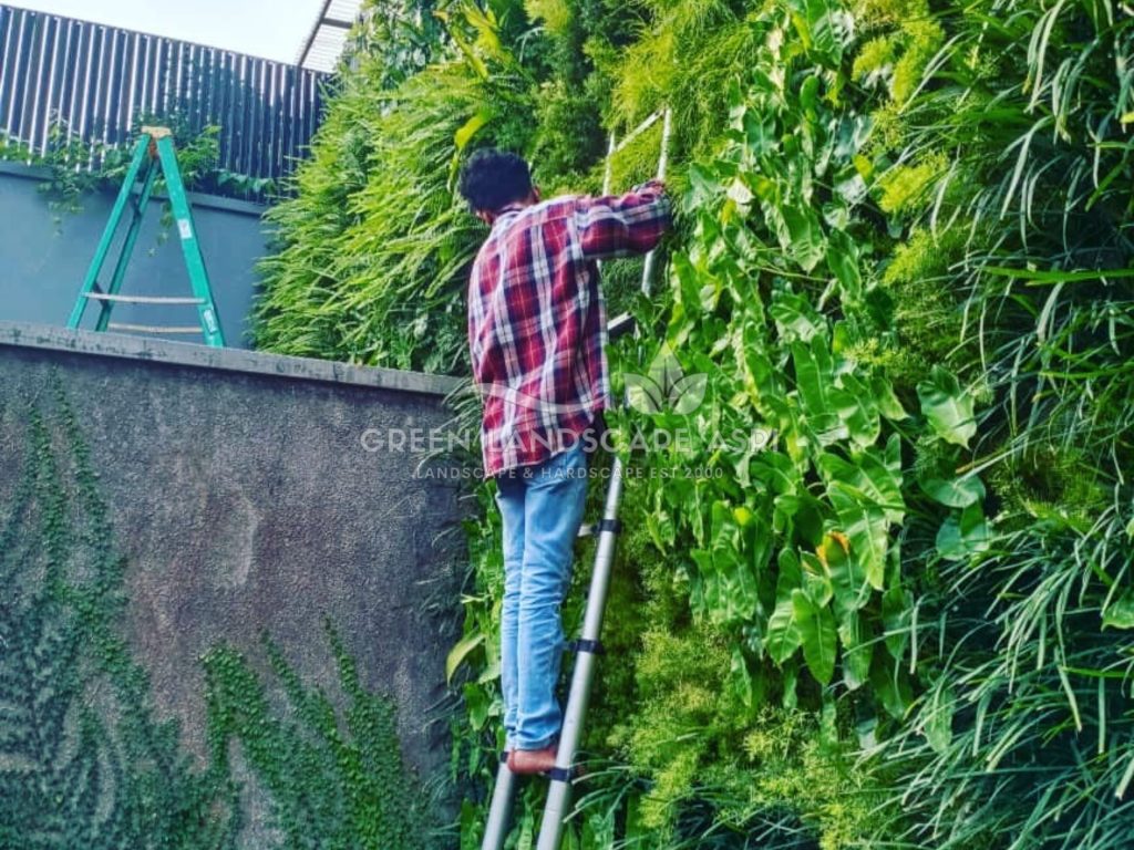 Harga Pasang Taman Vertikal
