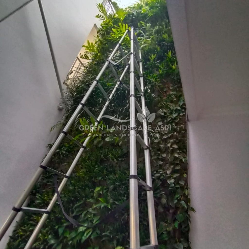 Harga Pasang Taman Vertikal