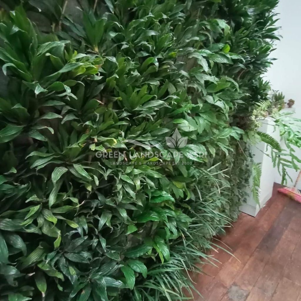 Harga Pasang Taman Vertikal