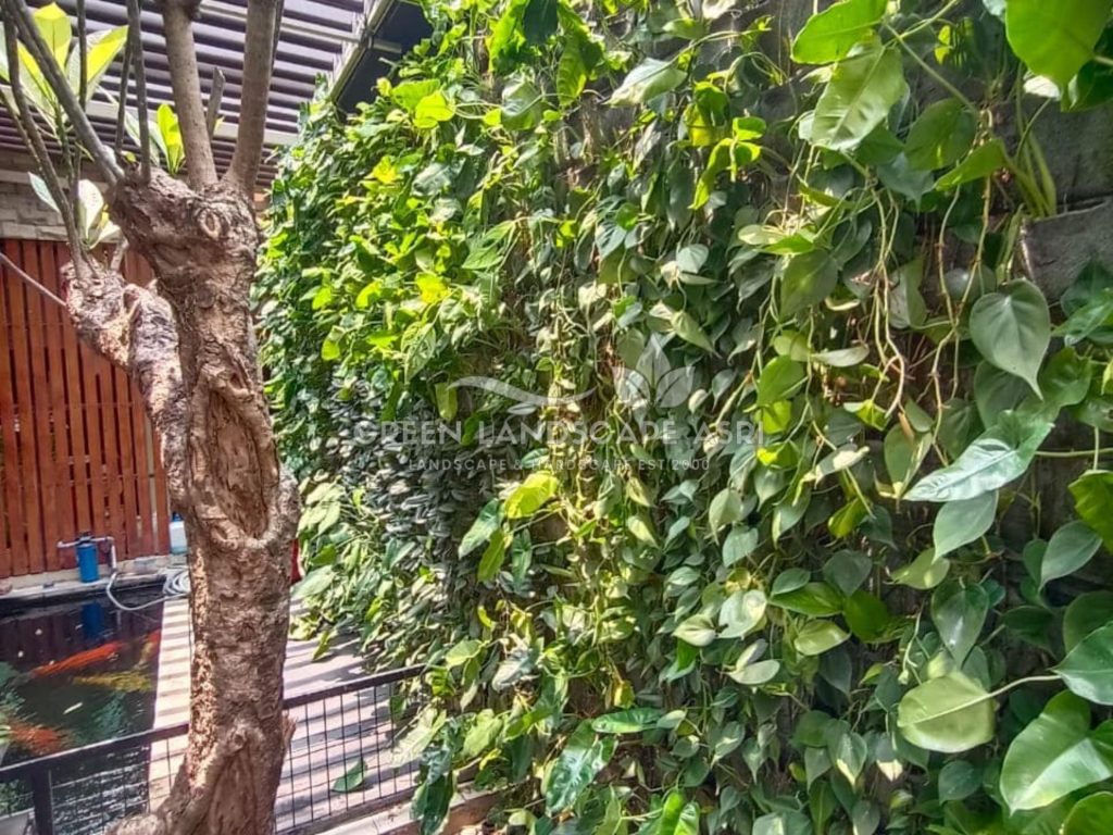 Harga Pasang Taman Vertikal