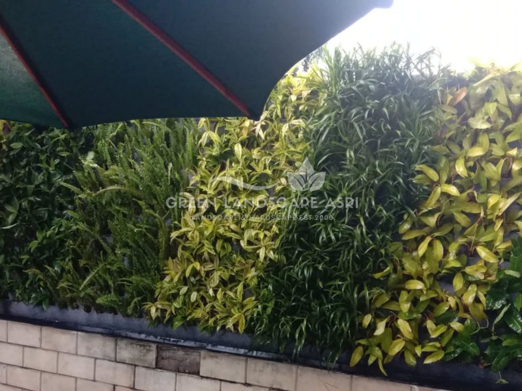 Jasa Pembuatan Vertical Garden