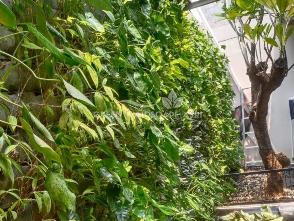 Harga Pasang Taman Vertikal