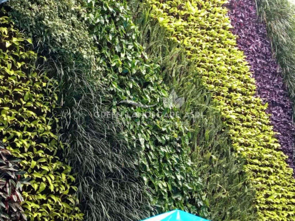 Jasa Bikin Vertical Garden Asli & Sintetis