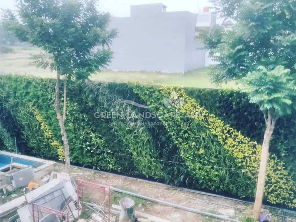 Jasa Bikin Vertical Garden Asli & Sintetis