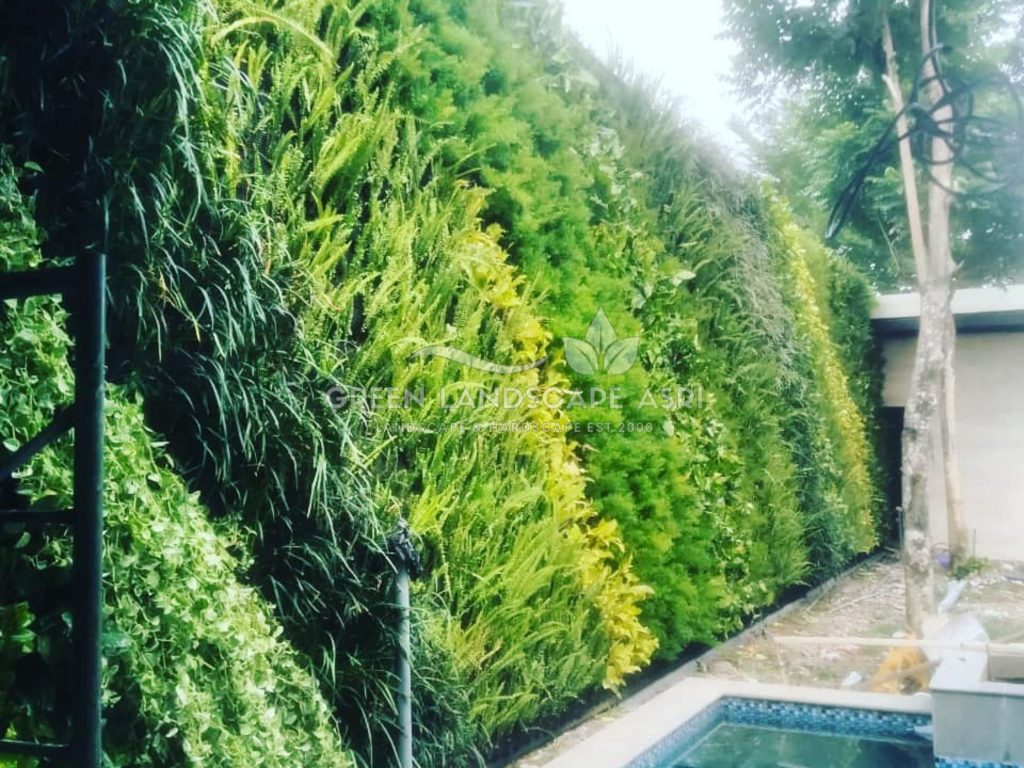 Jasa Bikin Vertical Garden Asli & Sintetis