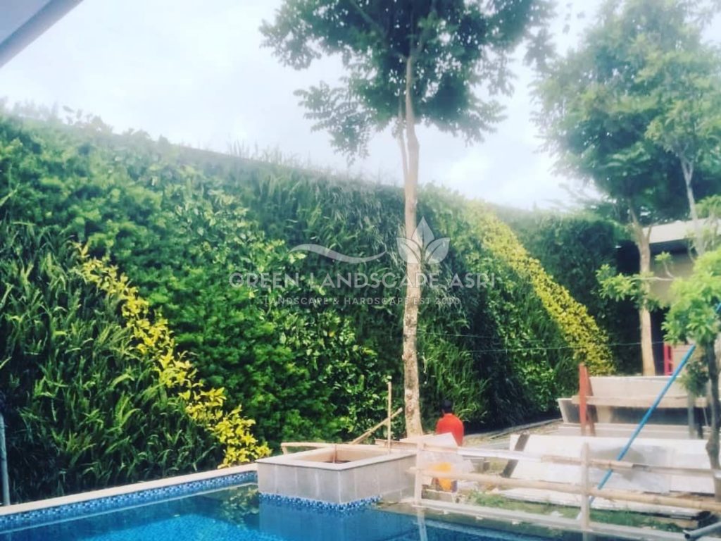 Jasa Bikin Vertical Garden Asli & Sintetis