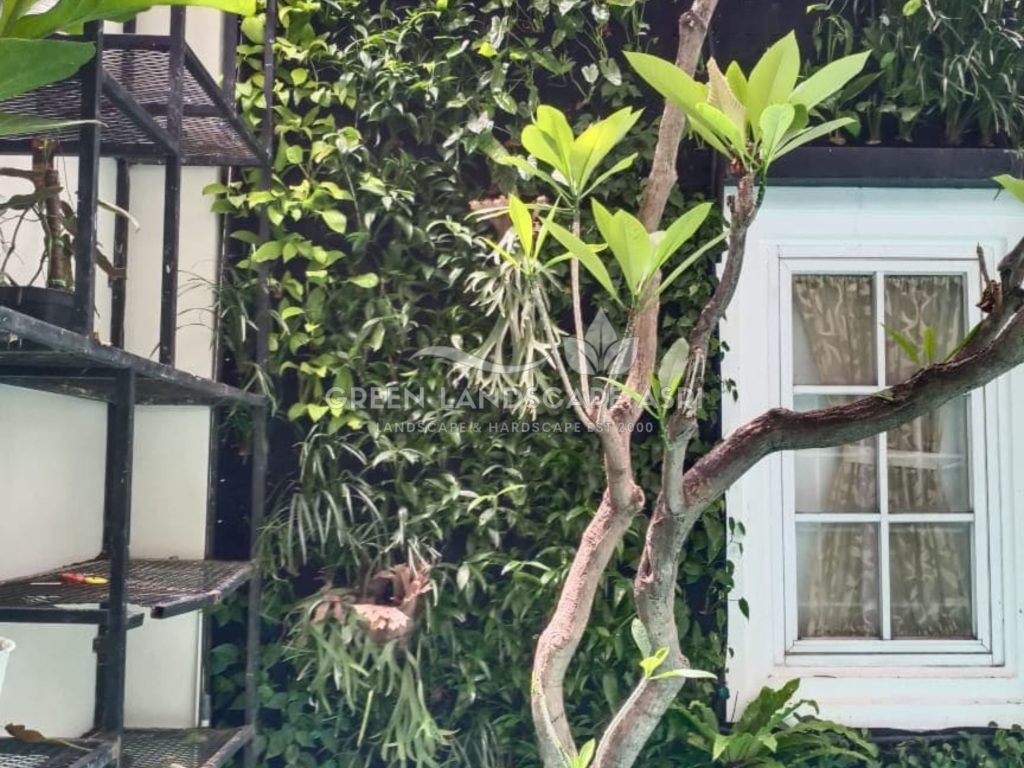 Jasa Bikin Vertical Garden Asli & Sintetis