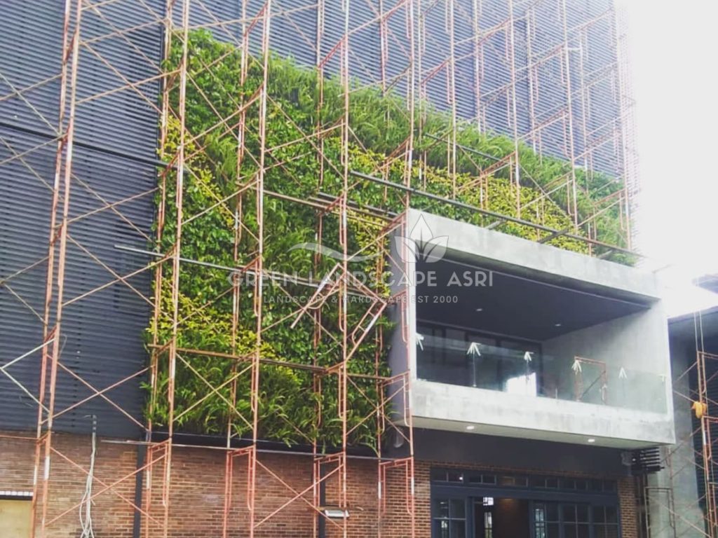 Jasa Bikin Vertical Garden Asli & Sintetis
