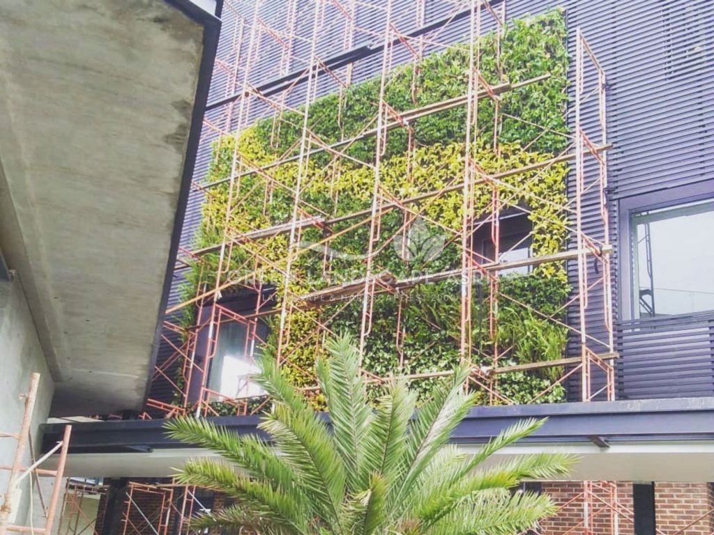Jasa Bikin Vertical Garden Asli & Sintetis