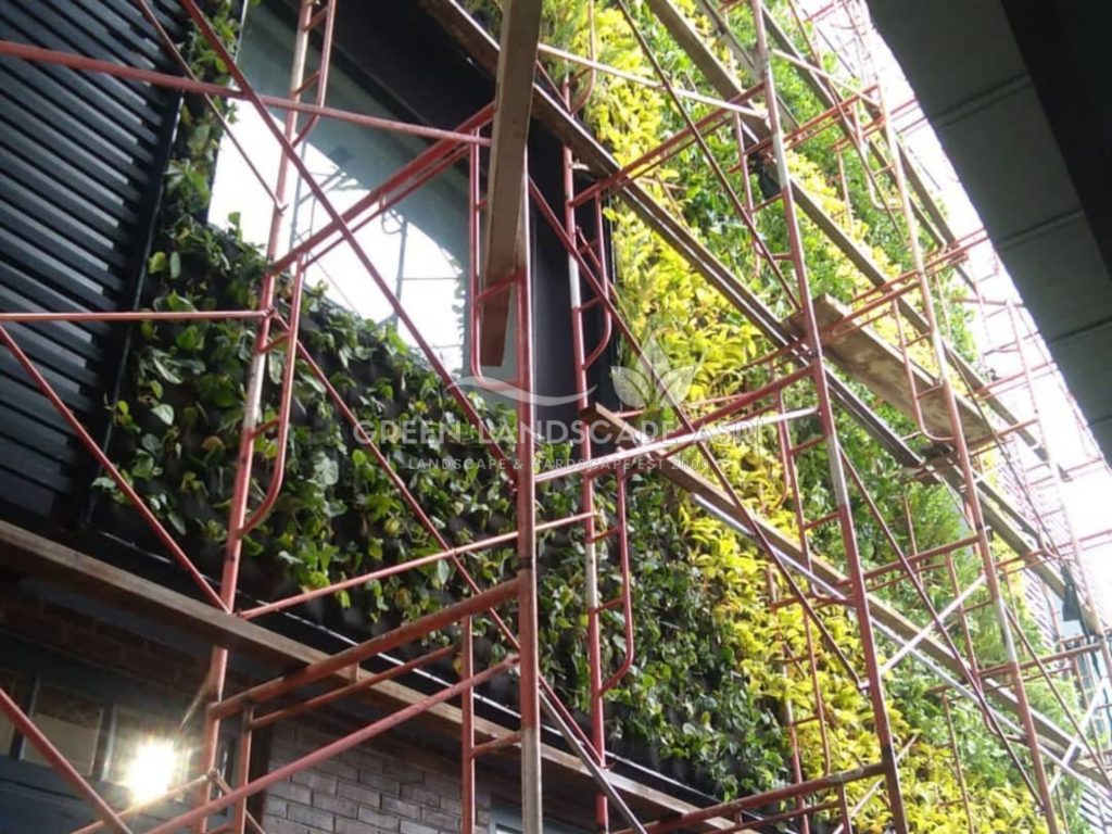 Jasa Bikin Vertical Garden Asli & Sintetis