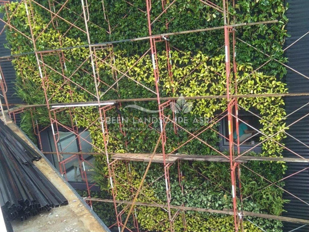 Jasa Bikin Vertical Garden Asli & Sintetis
