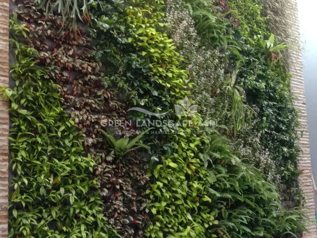 Jasa Pembuatan Vertical Garden