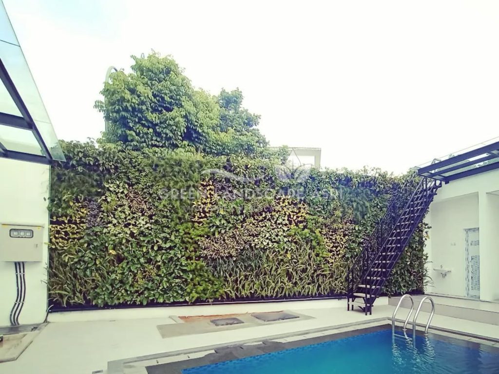 Jasa Bikin Vertical Garden Asli & Sintetis