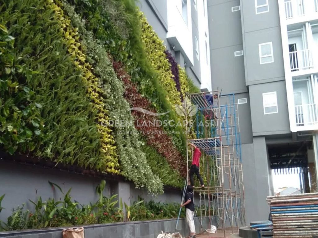 Jasa Bikin Vertical Garden Asli & Sintetis