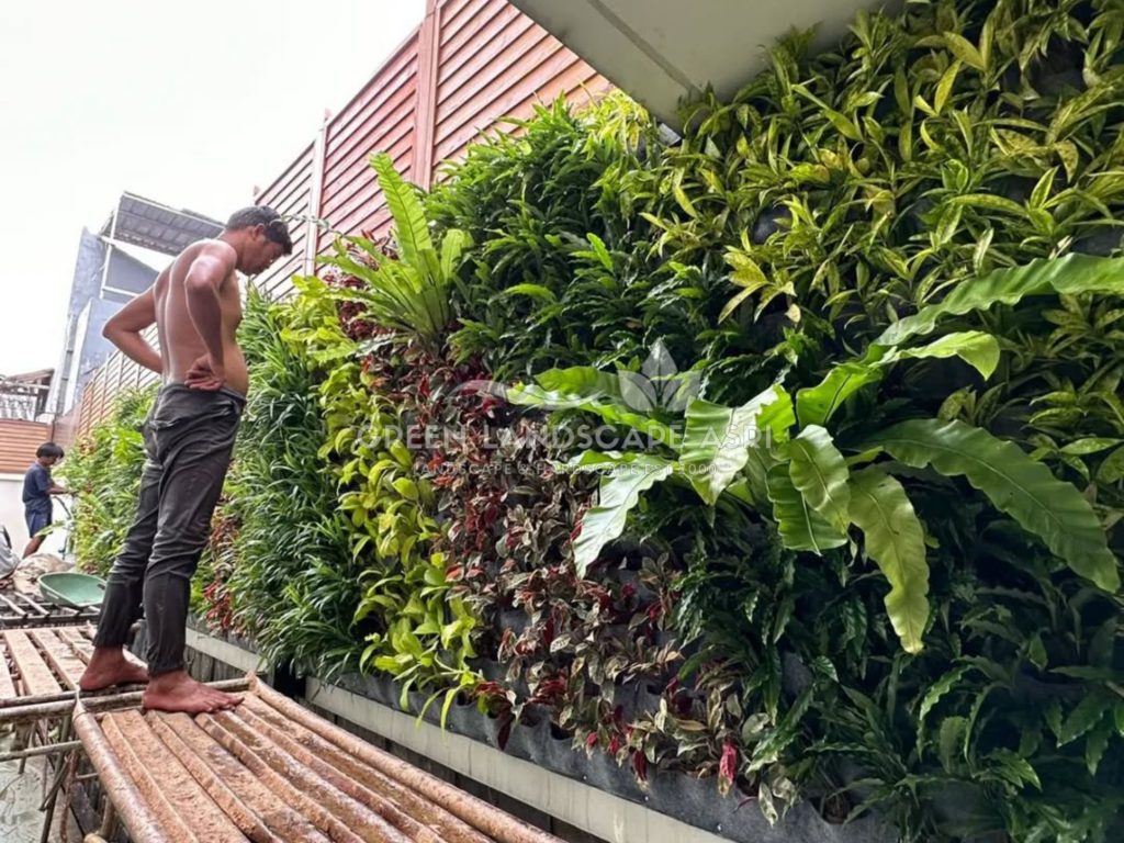 Jasa Pembuatan Vertical Garden