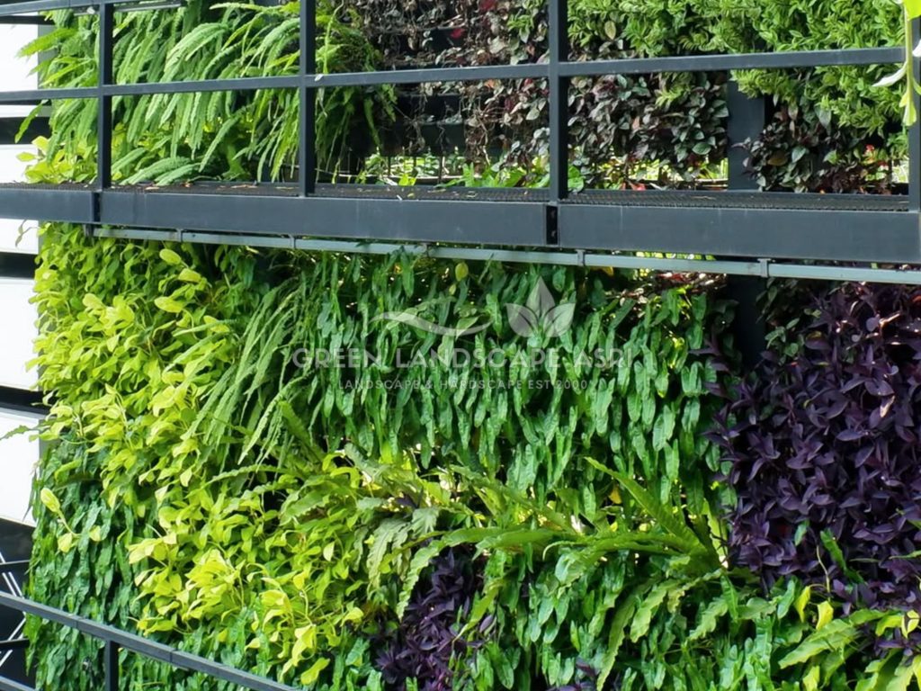 Jasa Pembuatan Vertical Garden