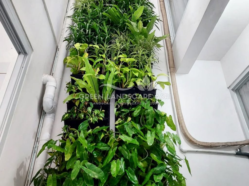 Jasa Pembuatan Vertical Garden
