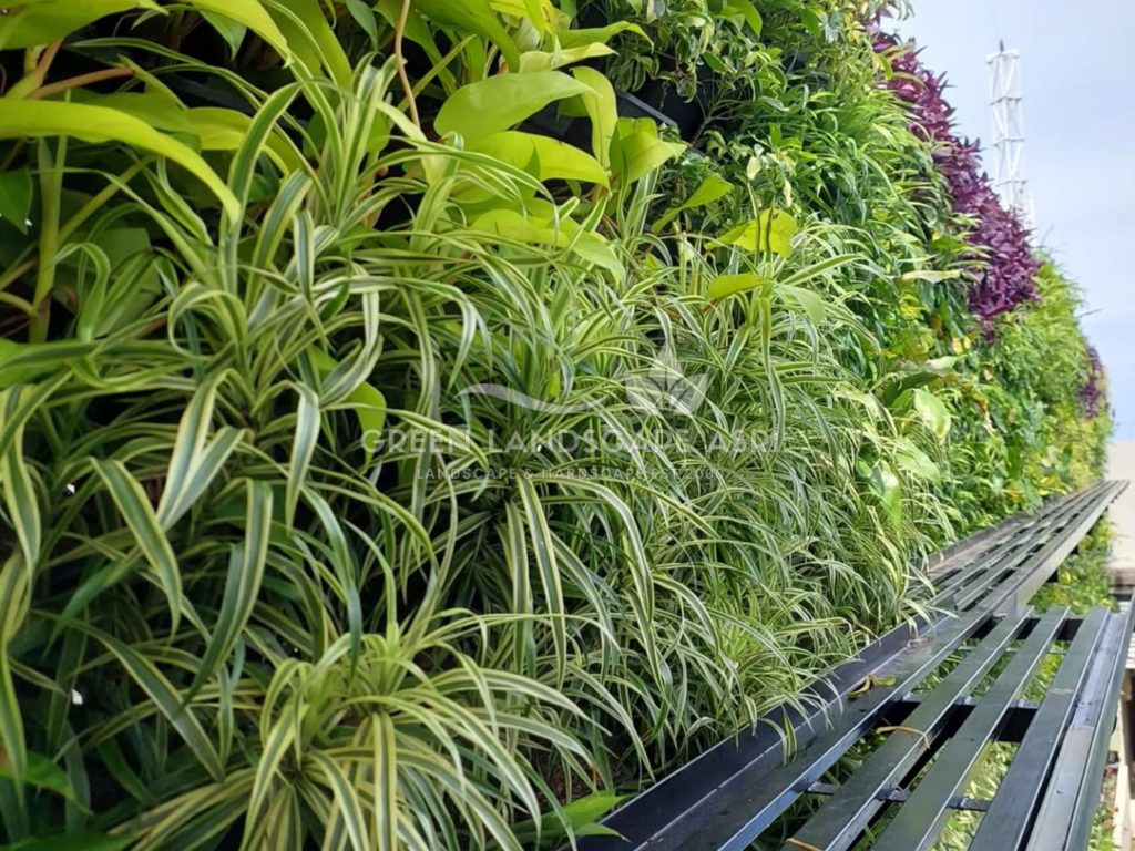 Jasa Pembuatan Vertical Garden