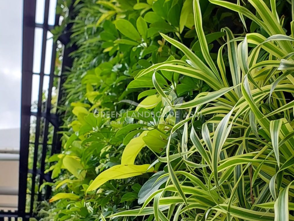 Jasa Pembuatan Vertical Garden