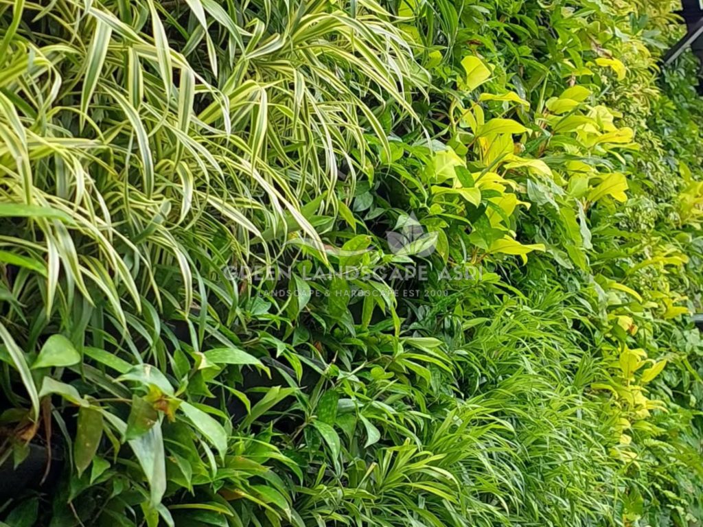 Jasa Pembuatan Vertical Garden