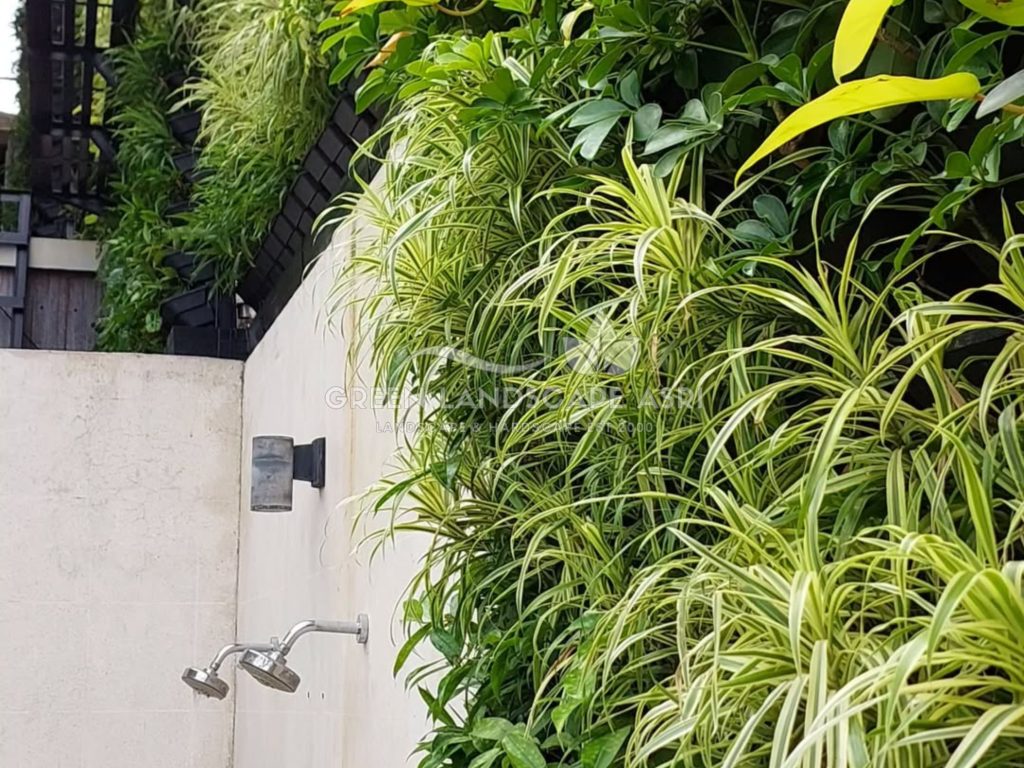 Jasa Pembuatan Vertical Garden