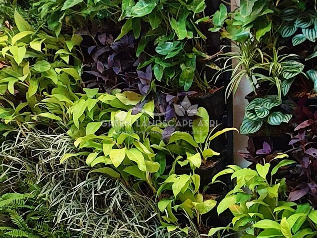 Jasa Pembuatan Vertical Garden