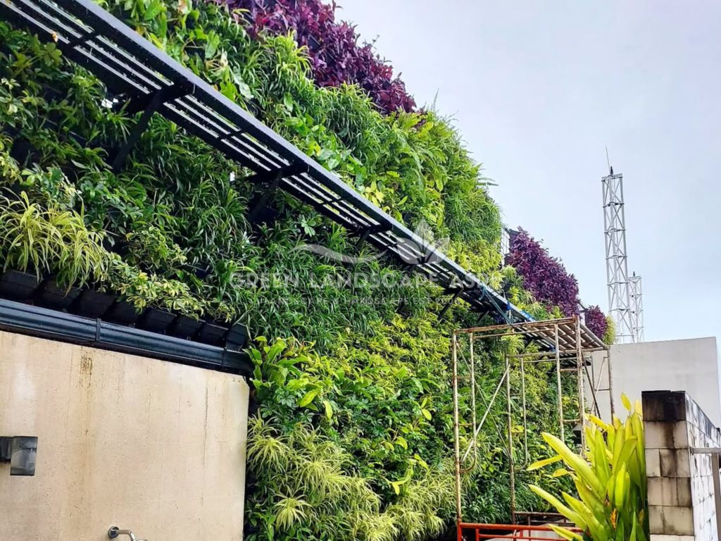 Jasa Pembuatan Vertical Garden