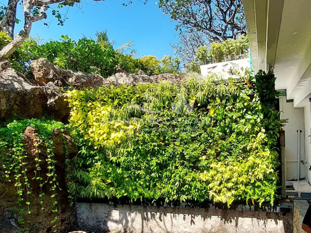 Jasa Pembuatan Vertical Garden