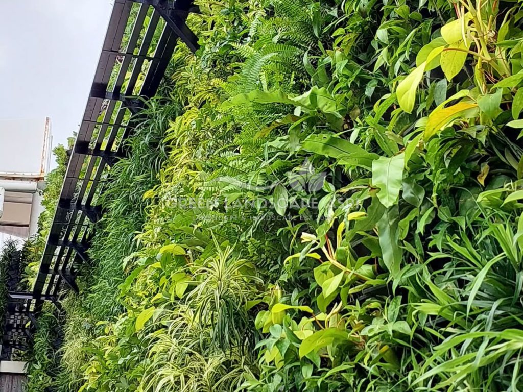Jasa Pembuatan Vertical Garden