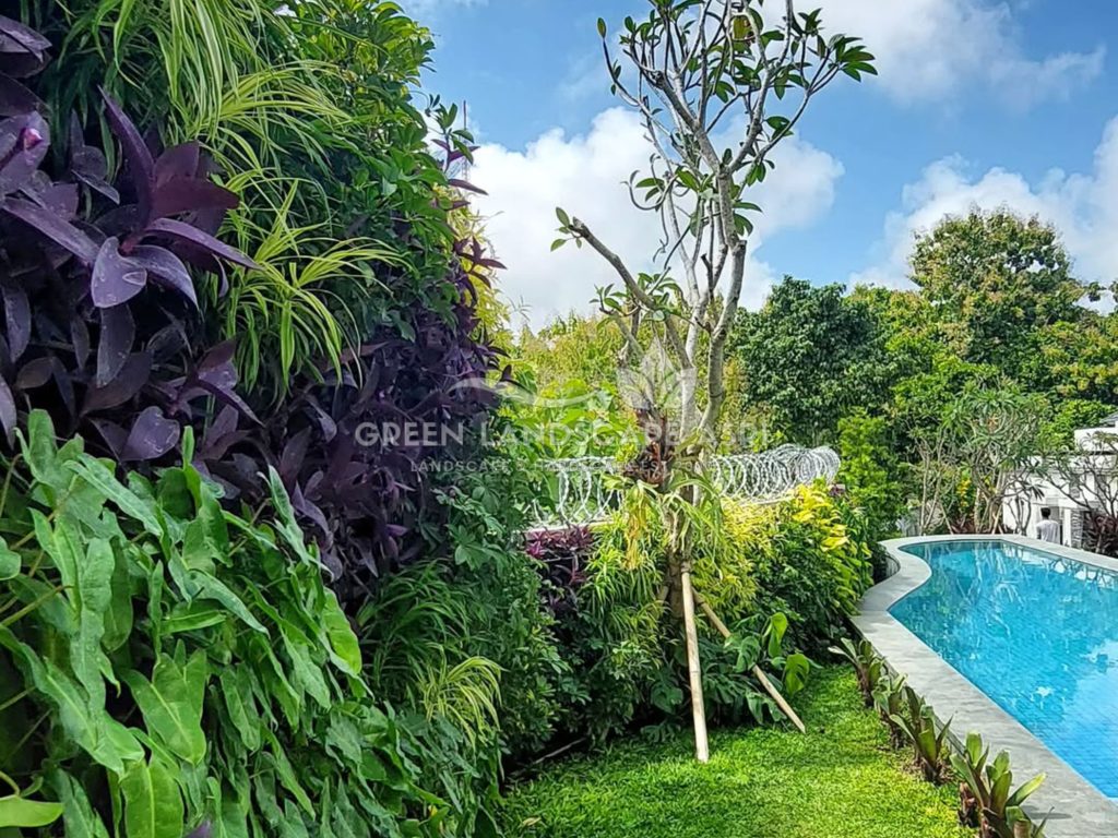 Jasa Pembuatan Vertical Garden