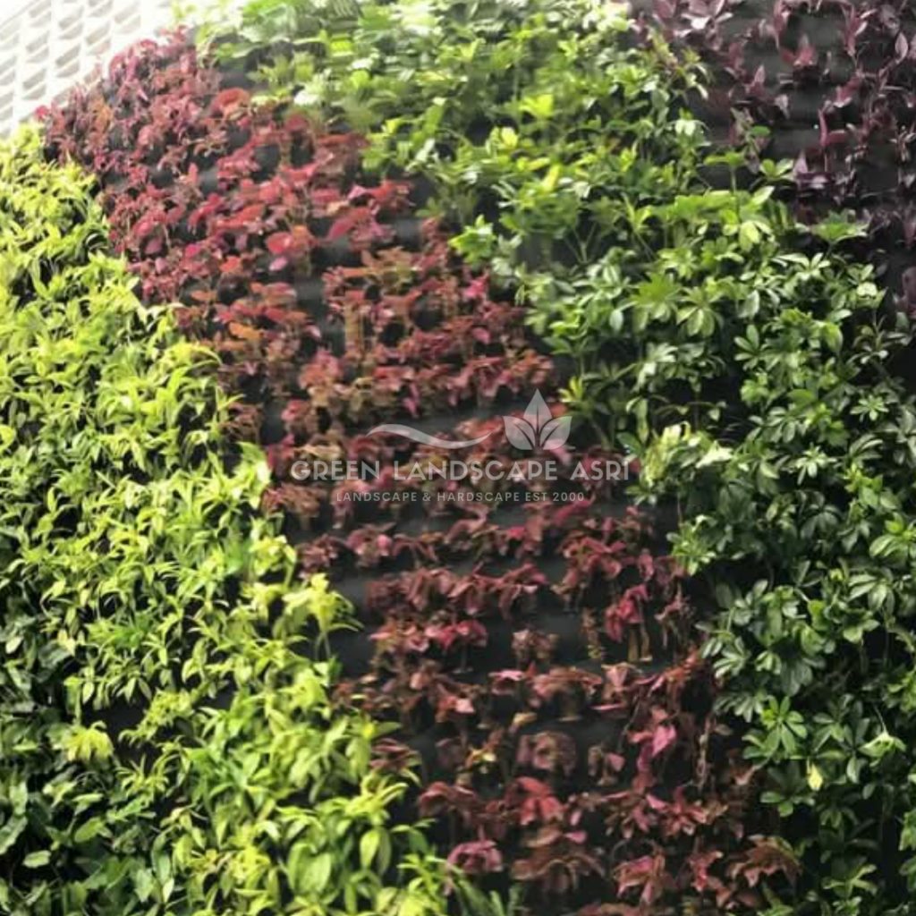 Jasa Pembuatan Vertical Garden