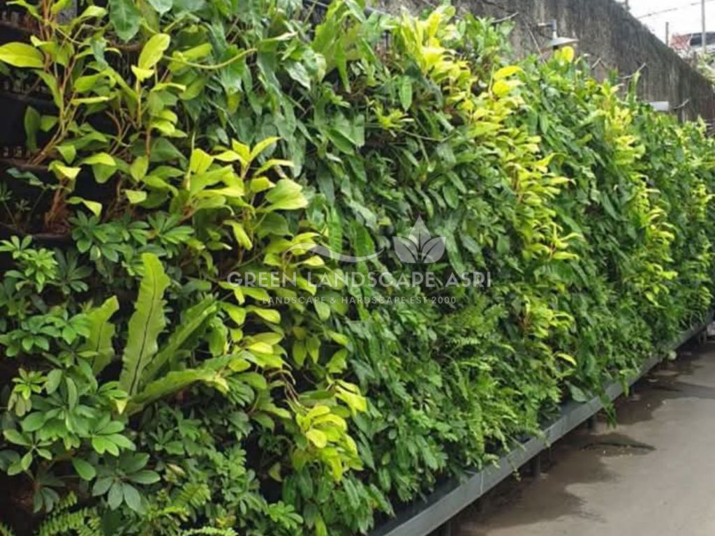 Jasa Pembuatan Vertical Garden
