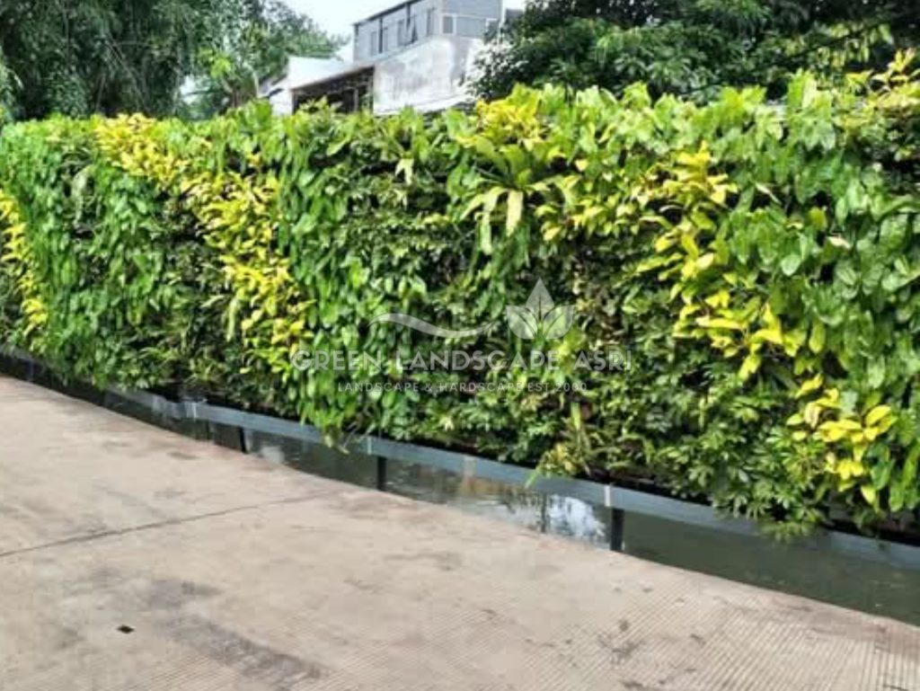 Jasa Pembuatan Vertical Garden