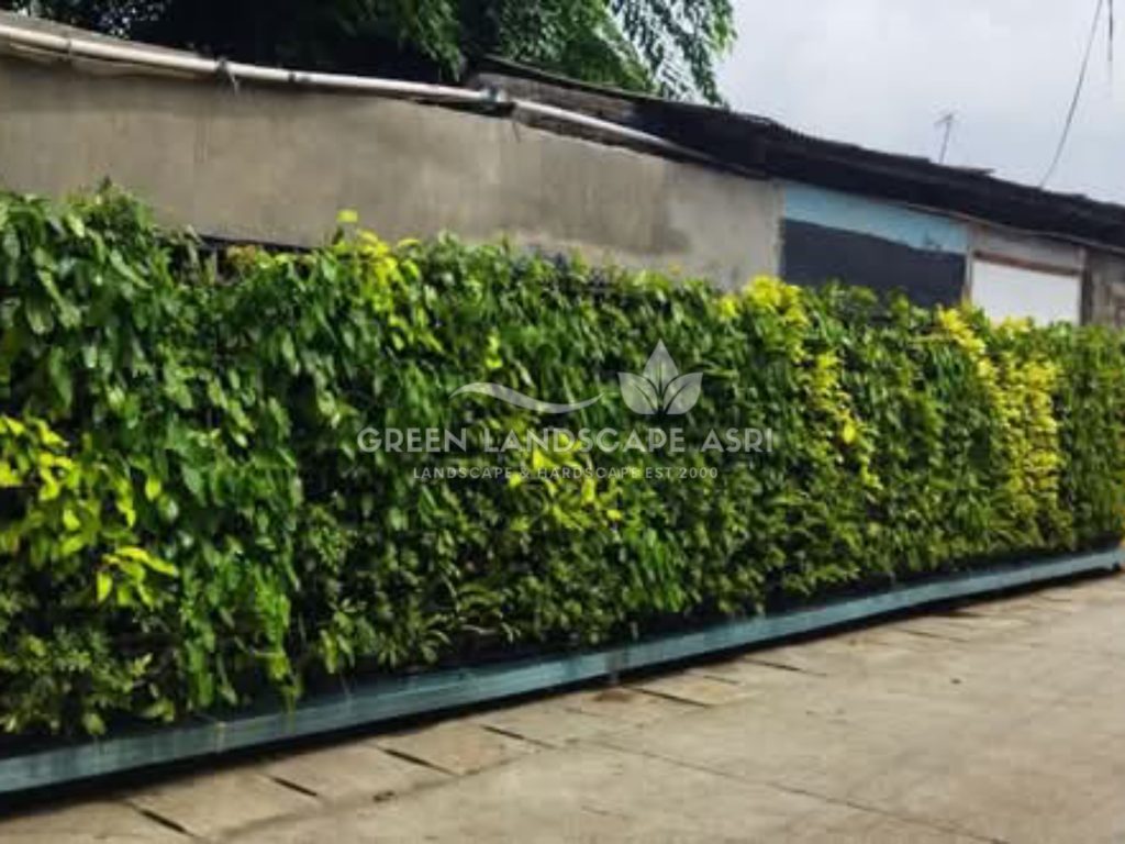 Jasa Pembuatan Vertical Garden