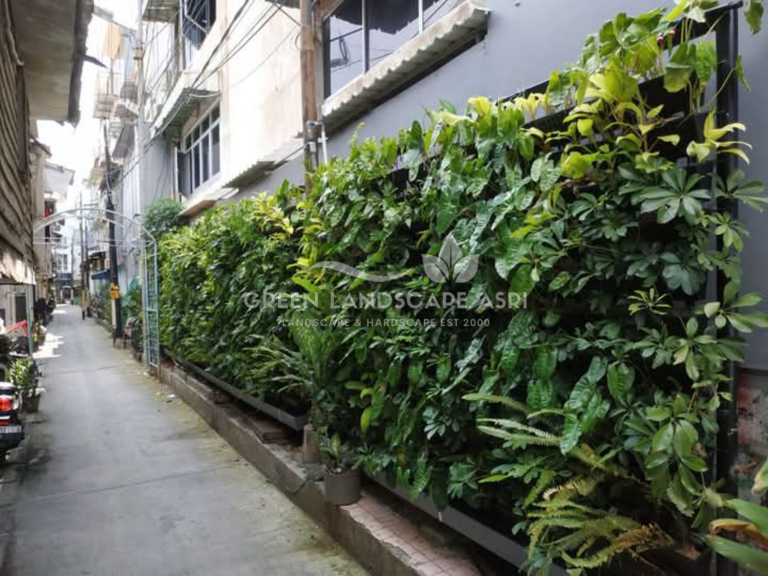 Jasa Pasang Taman Vertikal