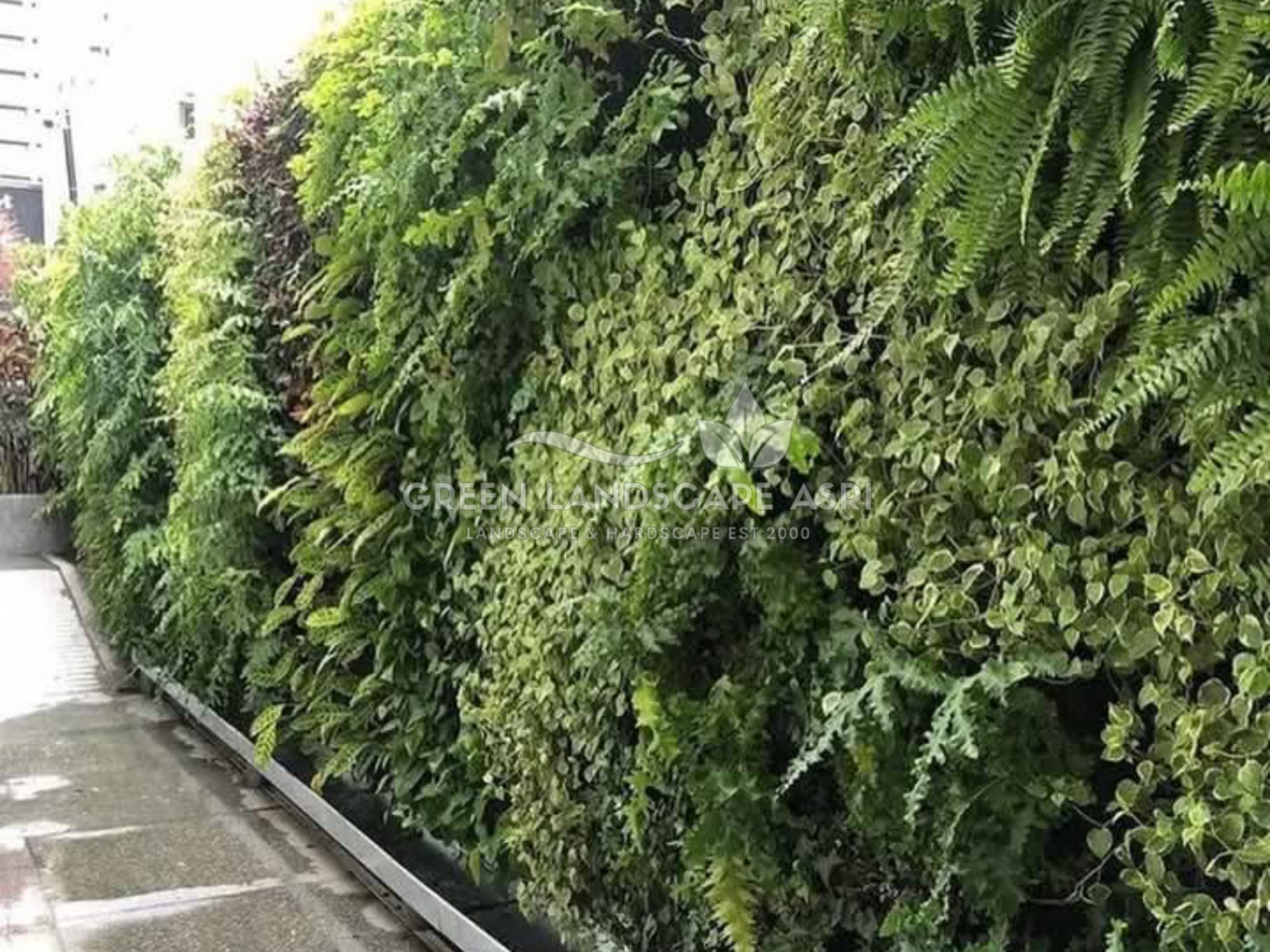 Jasa Pasang Taman Vertikal