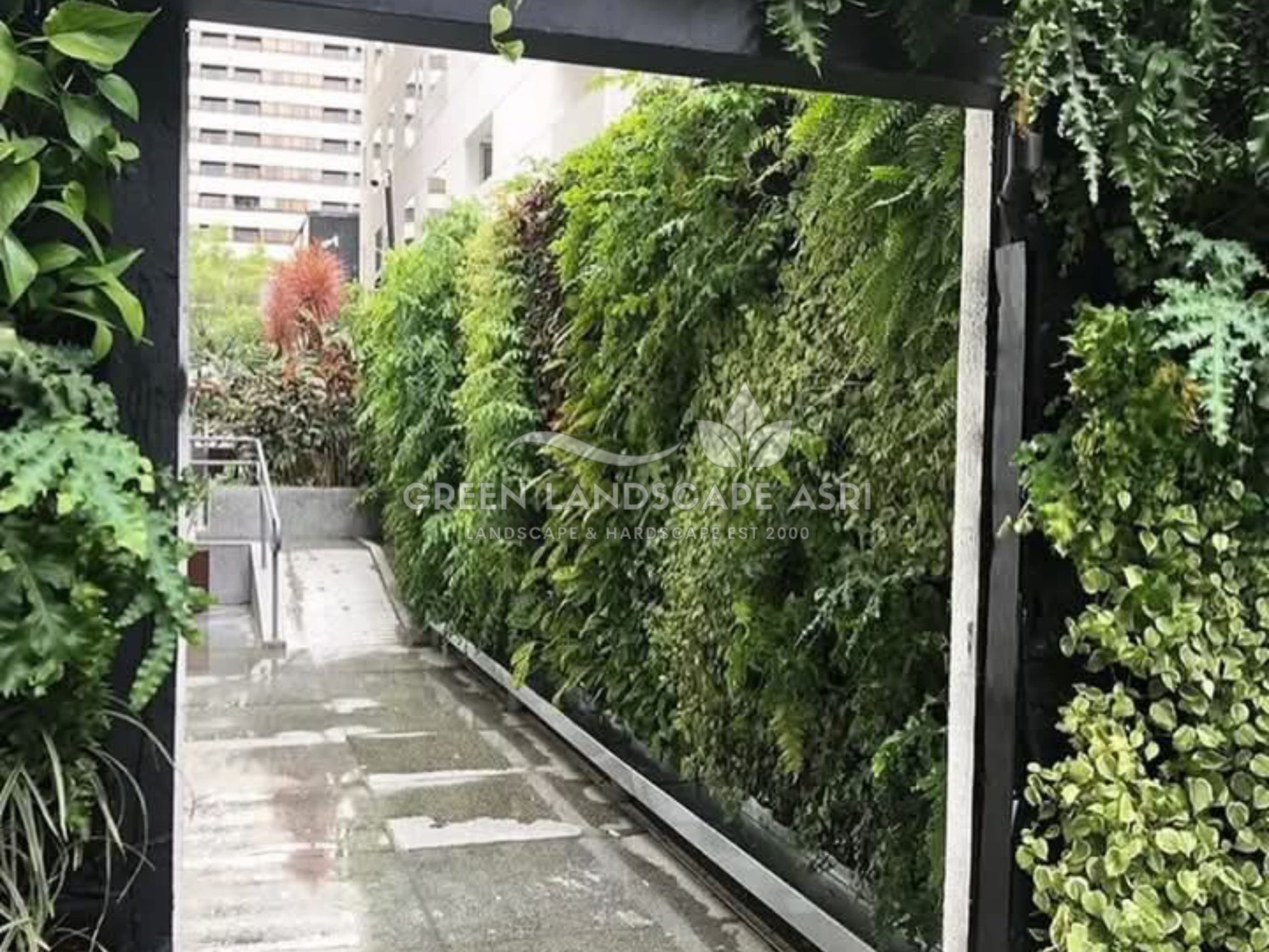 Jasa Pasang Taman Vertikal