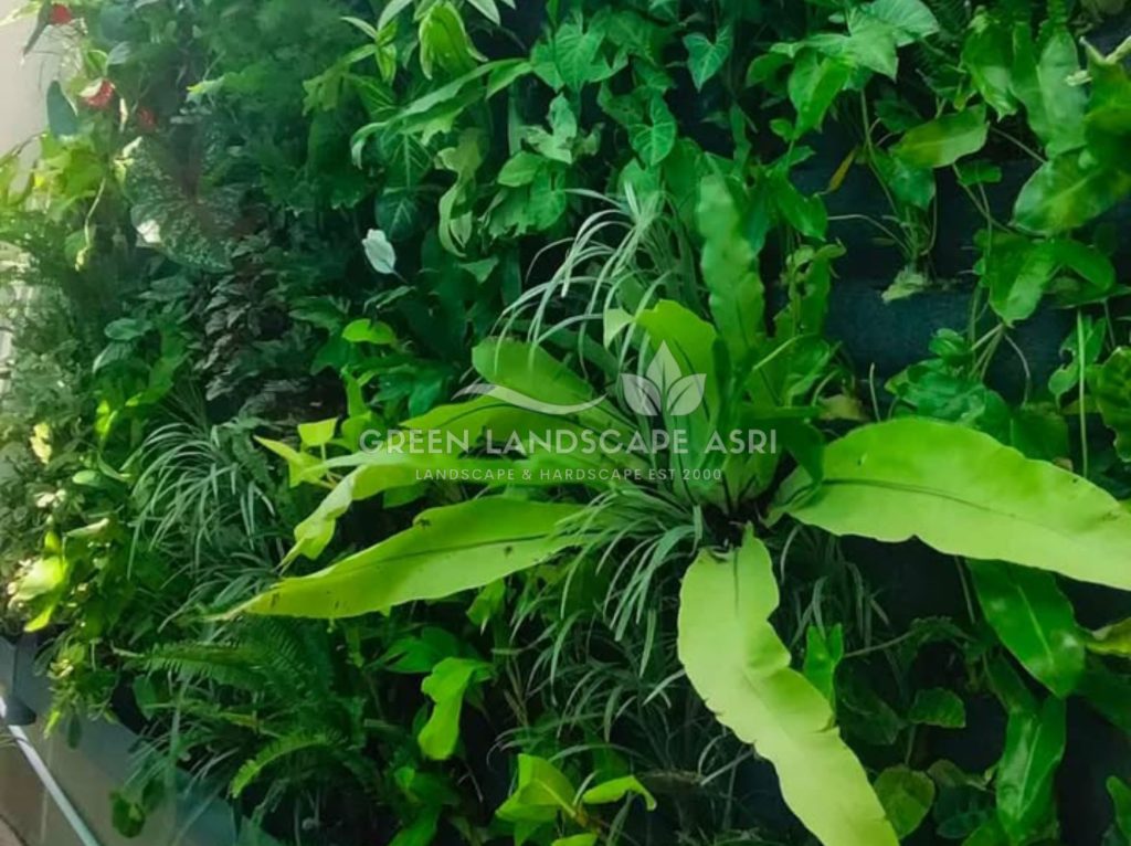 Jasa Pasang Taman Vertikal