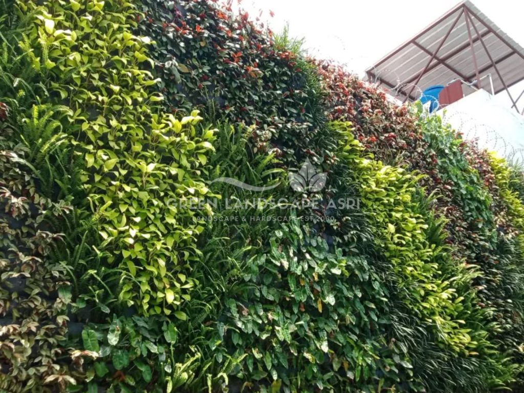 Jasa Pembuatan Vertical Garden