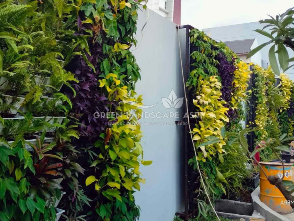 Jasa Pasang Taman Vertikal