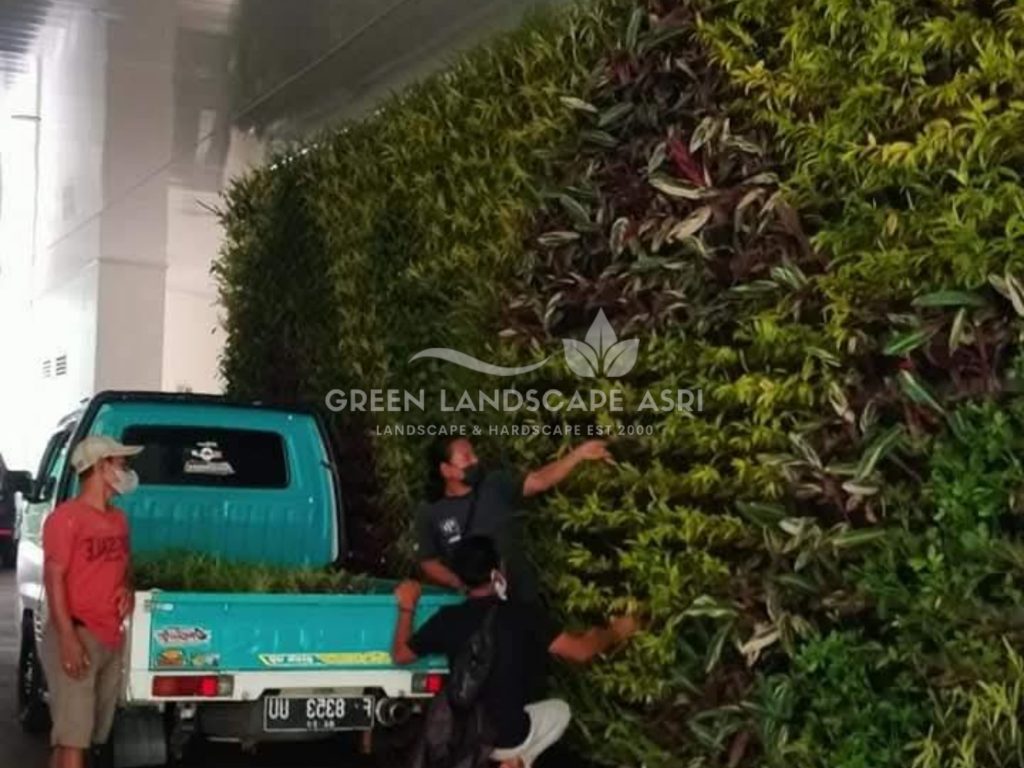 Jasa Pasang Taman Vertikal