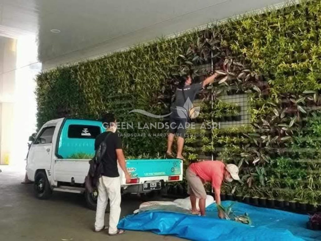 Jasa Pasang Taman Vertikal