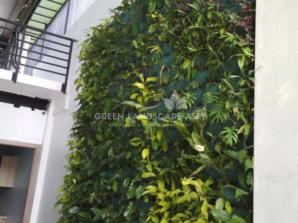 Jasa Pasang Taman Vertikal