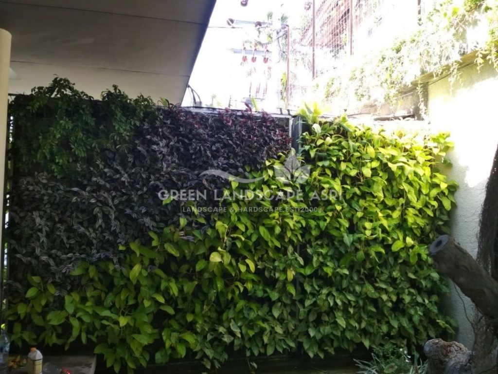 Jasa Pasang Taman Vertikal
