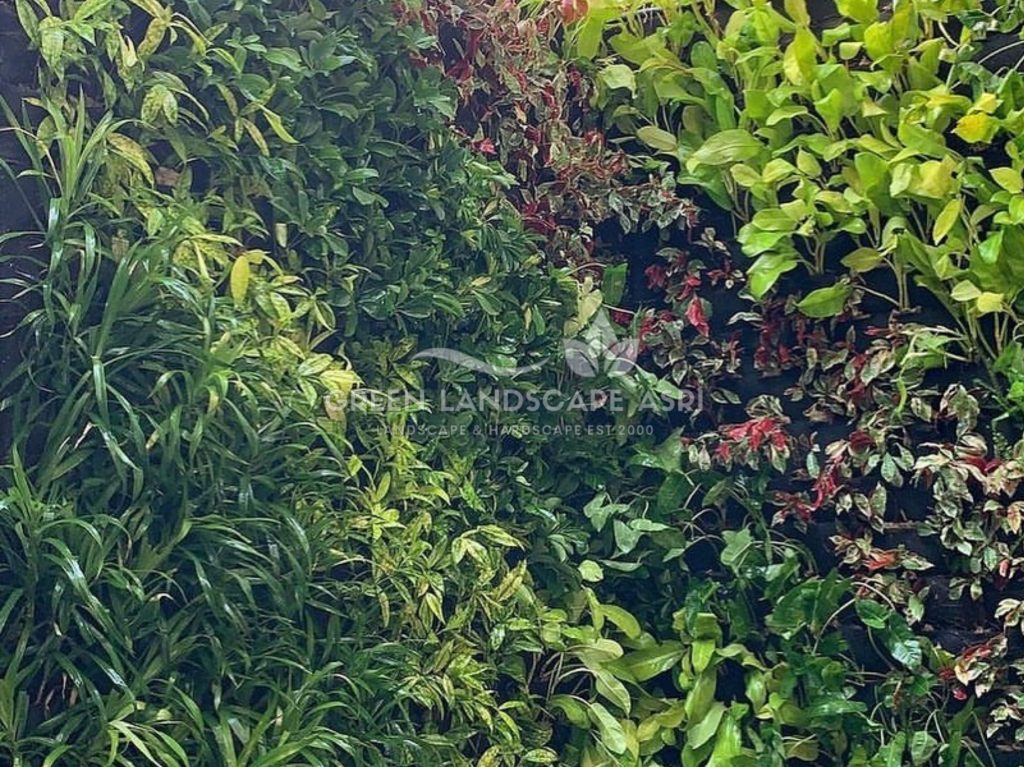 Jasa Pasang Taman Vertikal